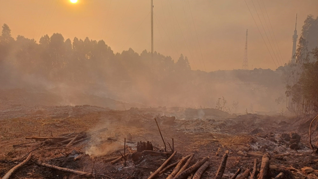 Incêndio no Monte da Virgem