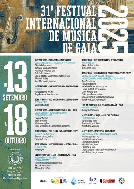 Cartaz do FIMG