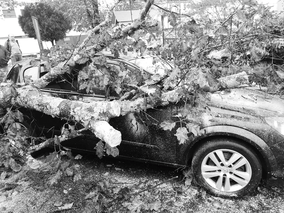 Uma árvore caiu em cima de um carro em Laborim