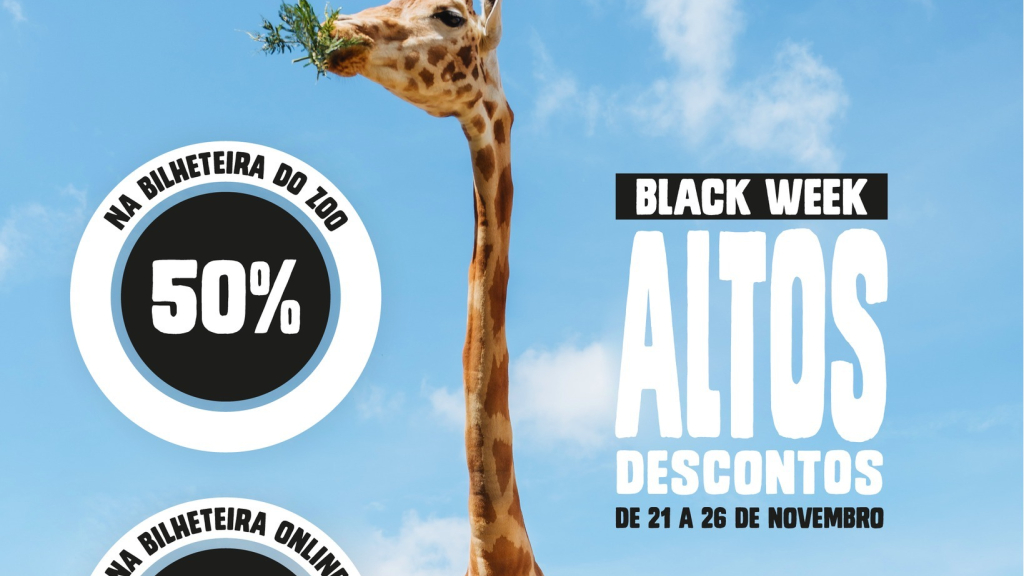 zoo descontos