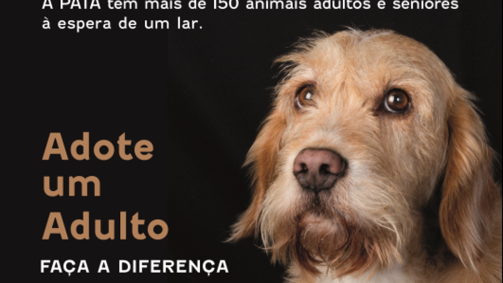 adoção de animais gaia PATA